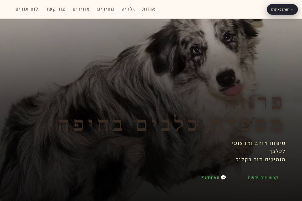 פרווה